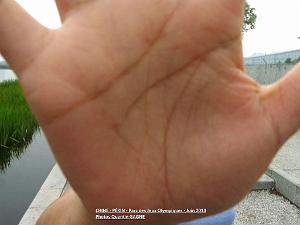 Pekin  044